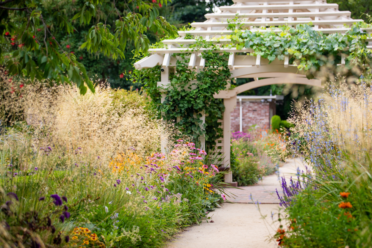 Anytown USA 1200X800 001